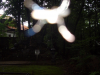 CIMG0568.JPG
